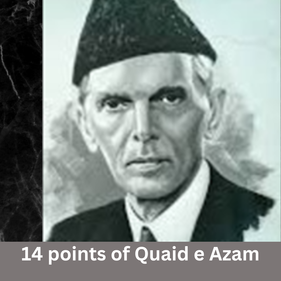 14 points of Quaid e Azam