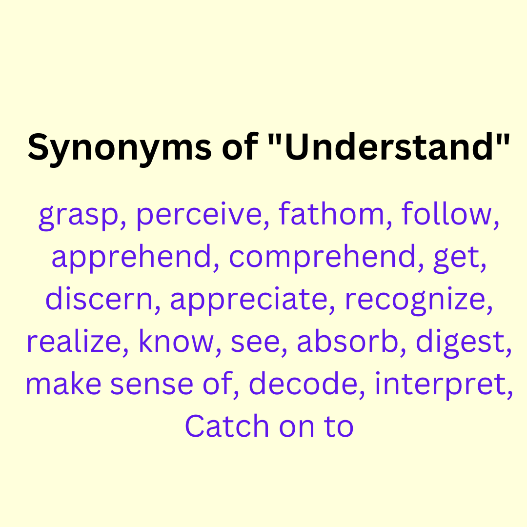 understand synonym essay